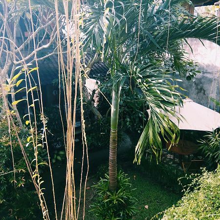 Nani House 2 Hotel Ubud  Ngoại thất bức ảnh