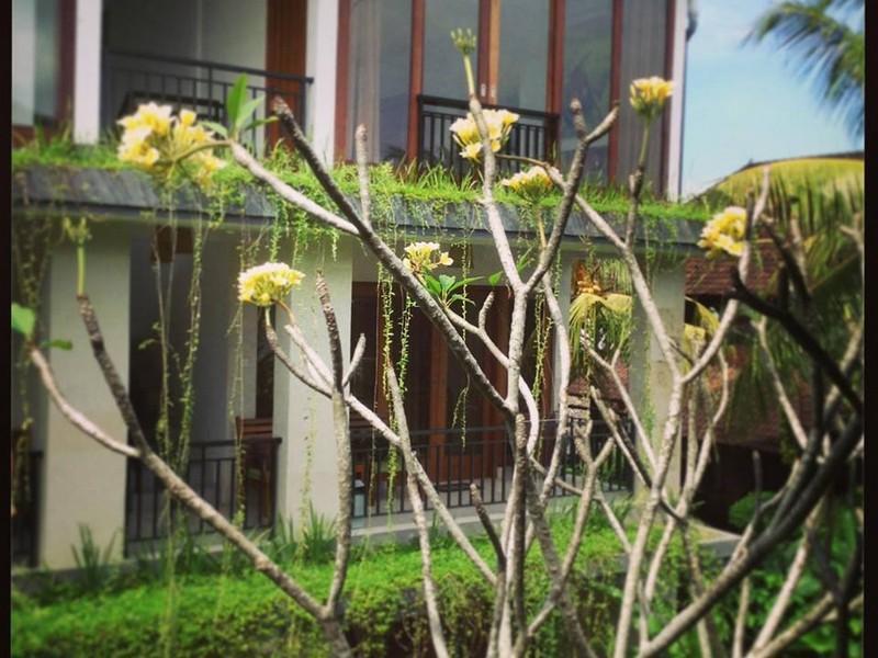 Nani House 2 Hotel Ubud  Ngoại thất bức ảnh