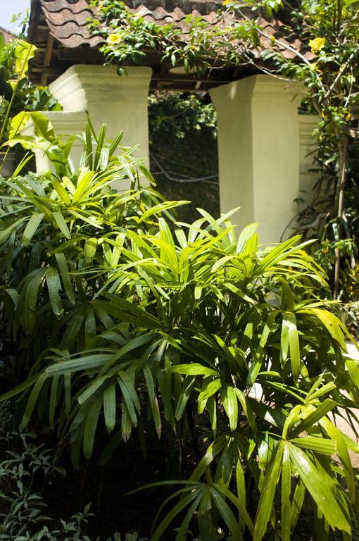Nani House 2 Hotel Ubud  Ngoại thất bức ảnh